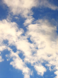 Lineage of Air