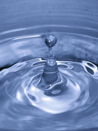 Lineage of Water
